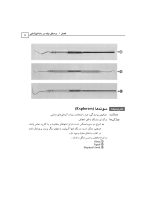 2_Page_11 وسایل دندانپزشکی - Image 10