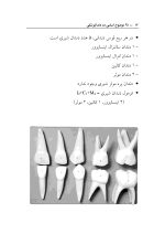۲۵ موضوع اساسی در دندانپزشکی - Image 8