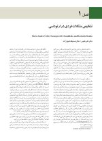 زیبایی و بیومکانیک در ارتودنسی ناندا ۲۰۱۵ (رنگی) - Image 6