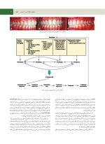زیبایی و بیومکانیک در ارتودنسی ناندا ۲۰۱۵ (رنگی) - Image 7