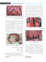 پاتولوژی دهان، فک و صورت نویل ۲۰۱۶  رنگی (تک جلدی) - Image 7