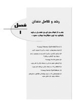 بافت شناسی دهان و دندان (همراه با CD) - Image 6