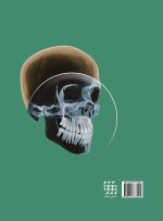 مجموعه سوالات تفکیکی آناتومی سر و گردن نترز - Image 2