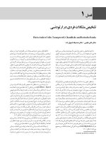 زیبایی و بیومکانیک در ارتودنسی ناندا ۲۰۱۵ (سیاه و سفید) - Image 7