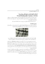 رادیولوژی و آناتومی دهان - Image 4