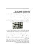 رادیولوژی و آناتومی دهان - Image 4