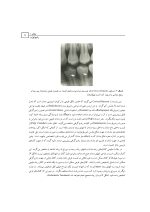 رادیولوژی و آناتومی دهان - Image 5