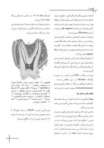 CDR علم و هنر در دندانپزشکی ترمیمی ۲۰۱۹ (چکیده مراجع دندانپزشکی) - Image 6
