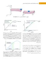 Profit j 3 color_Page_06 ارتودنسی معاصر پروفیت ۲۰۱۹ (جلد ۳) رنگی - Image 6