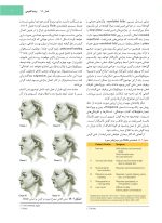 فونسکا جلد 3_Page_07 جراحی، دهان و فک و صورت فونسکا 2018 جلد سوم (جراحی زیبایی) - Image 5