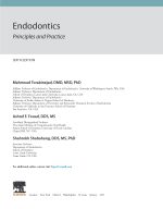 ENDODONTICS PRINCIPLES AND PRACTICE 2021 (SIXTH EDITION) - Image 2