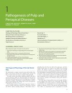 ENDODONTICS PRINCIPLES AND PRACTICE 2021 (SIXTH EDITION) - Image 8