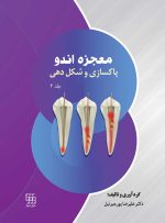 معجزه اندو (پاکسازی و شکل دهی) - جلد 2