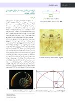 جلد چهارم _Page_06 جراحی، دهان و فک و صورت فونسکا 2018 جلد چهارم (جراحی ارتوگناتیک) - Image 5