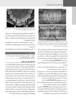 karanza black_Page_8 پریودنتولوژی بالینی کارانزا ۲۰۱۹ جلد 2 همراه با CD (سیاه و سفید) - Image 9