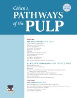 Cohen's Pathways of the Pulp 2021 - Image 2