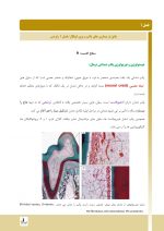 endo_Page_01 درسنامه اندودانتیکس ترابی نژاد 2021 جلد 1 و 2 (همراه با فیلم آموزشی) - Image 4