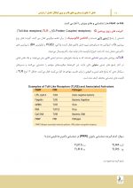 endo_Page_07 درسنامه اندودانتیکس ترابی نژاد 2021 جلد 1 و 2 (همراه با فیلم آموزشی) - Image 10