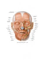 labkhand_Page_17 طراحی لبخند (گلاسه رنگی همراه با قاب) شامل فیلم های واقعیت افزوده مجازی - Image 6