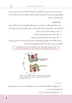 درسنامه مواد دندانی پاورز_ون نورت (رفرنس آزمون سال های گذشته) - Image 7