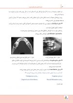 درسنامه آسیب شناسی دهان،فک و صورت نویل 2016 (همراه با فیلم آموزشی) (رفرنس آزمون سال های گذشته) - Image 4