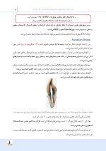 درسنامه ترمیمی (همراه با فیلم آموزشی) - Image 13