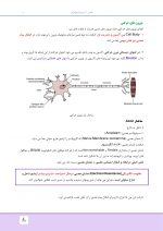 مالامد_Page_11 درسنامه بی حسی موضعی مالامد 2019 - Image 11