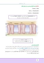 مالامد_Page_18 درسنامه بی حسی موضعی مالامد 2019 - Image 18