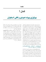 گامی دیگر در پیوند بافت سخت و نرم - Image 6