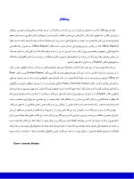 anatomy 2019 final_Page_04 آناتومی و مورفولوژی دندان 2019 - Image 3