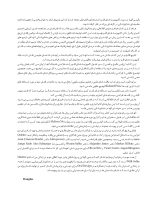 ترمیم با کامپوزیت های فلو - Image 5