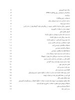 ترمیم با کامپوزیت های فلو - Image 7