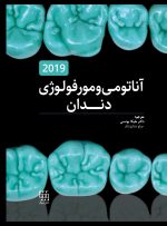 آناتومی و مورفولوژی دندان 2019