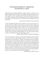 Participarory research/capabilities and epistemic justice - Image 2