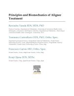 Principles and Biomechanics of Aligner Treatment 2022 - Image 3