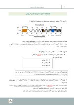 مرور با تست رادیولوژی دهان، فک و صورت وایت فارو - Image 6