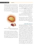 bi hesi final_Page_07 بی حسی موضعی مالامد 2020 - Image 8