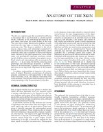 Local Flaps in Facial Reconstruction 4e 2022 - Image 2