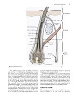 Local Flaps in Facial Reconstruction 4e 2022 - Image 6