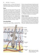 Local Flaps in Facial Reconstruction 4e 2022 - Image 9