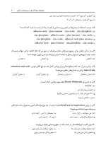 BORD_Page_07 DBQ (مجموعه سوالات بورد دندانپزشکی) پروتزهای دندانی - Image 9