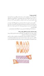 آشنایی با ارتودنسی - Image 7