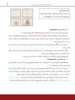 درسنامه دندانپزشکی کودکان مک دونالد 2021 جلد 1 و 2 - Image 7