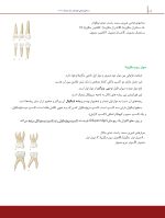 درسنامه دندانپزشکی کودکان مک دونالد 2021 جلد 1 و 2 - Image 12