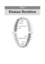 English for the students of Dentistry(volume 1) - Image 6