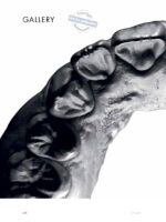 Biomimetic Restorative Dentistry 2022 - Image 7