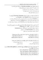 az 1402_Page_06 مجموعه سوالات تفکیکی آزمون ورودی تخصصی دندانپزشکی سال 1402 (دوره سی و هفتم) - Image 7