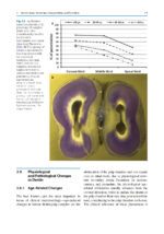 The Root Canal Anatomy in Permanent Dentition 2019 - Image 6