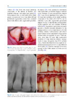 Evidence-Based Decision Making in Dentistry - Image 6