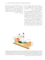 ortho peryo_Page_08 بیماران ارتو-پریو شواهد بالینی و راهنمای درمان - Image 9